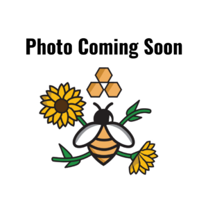 Mother's Day Macaron Bundle